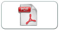 pdf icon